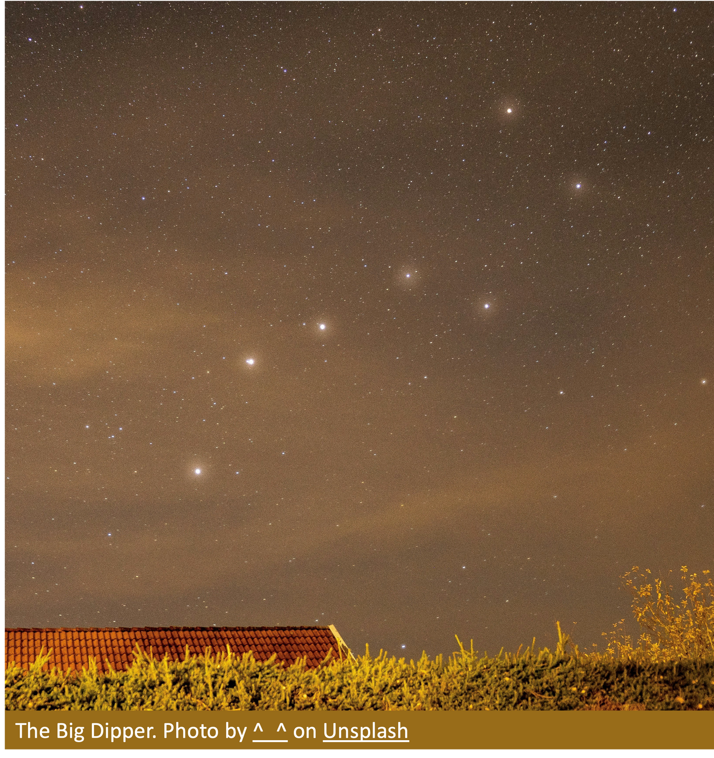 Pearl Drop Earrings - Guiding Light